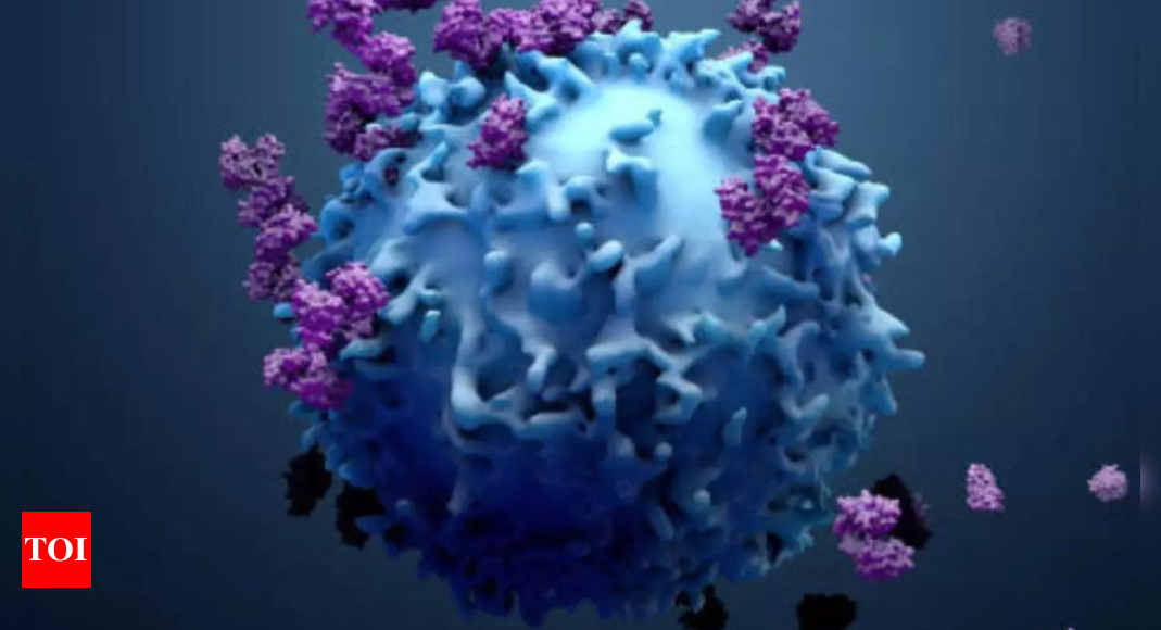 Immunotherapy Eliminates Senescent Cells, Enhancing Chemotherapy Efficiency |