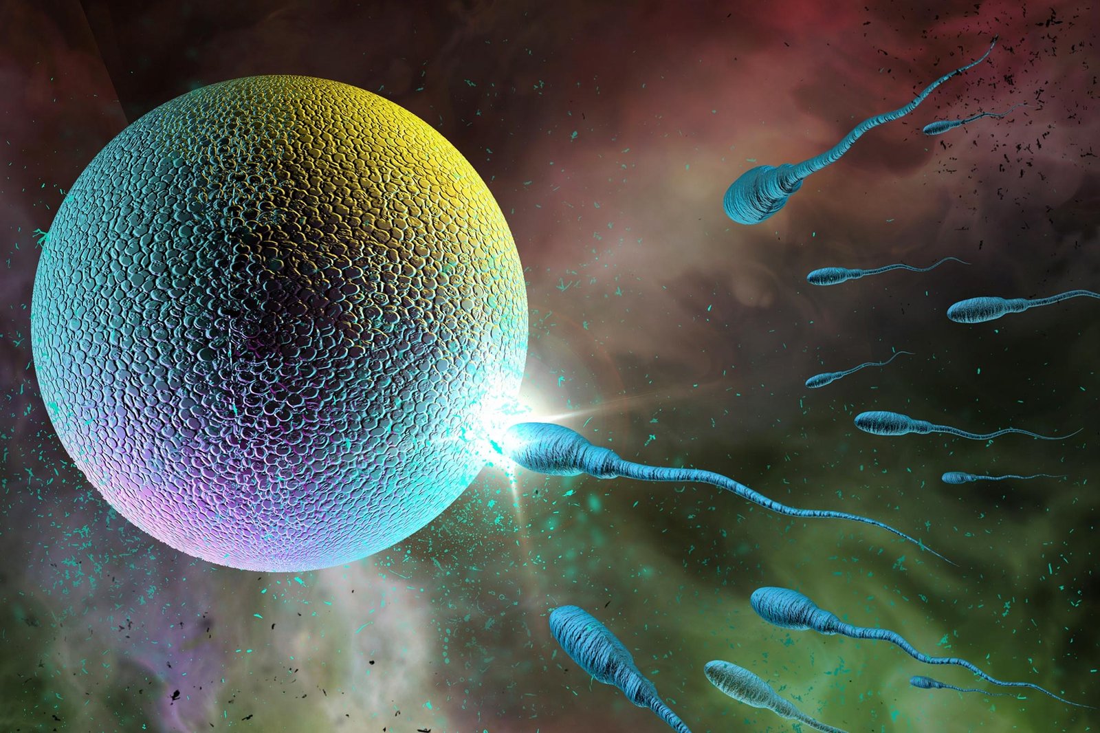 Scientists Shed New Light on Mysteries Associated With Infertility