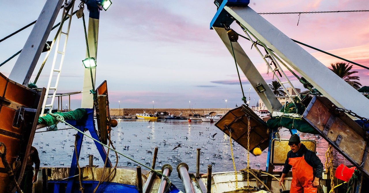 Trawling Boats Are Hauling Up Ancient Carbon From the Ocean Depths