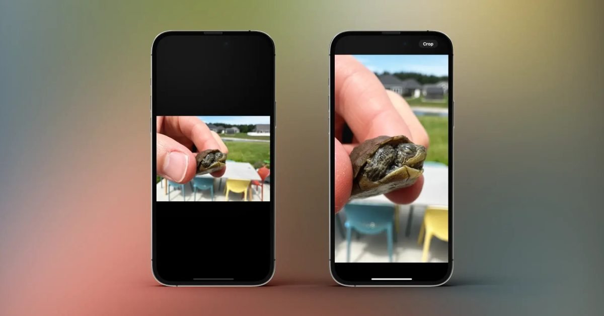 Quick crop on iPhone Photos app: How to use in iOS 17