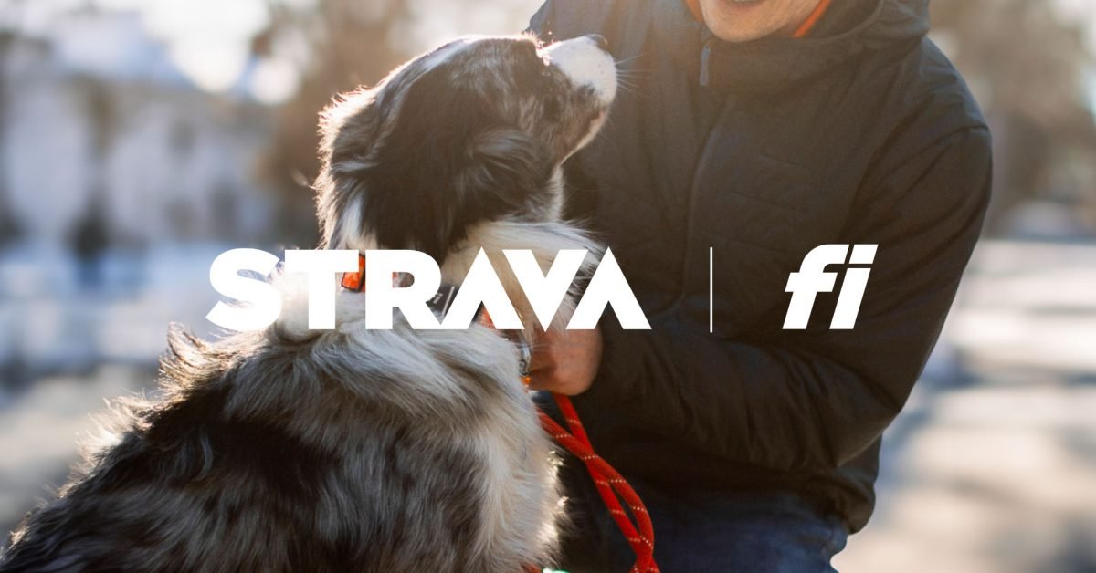 Strava partners with Fi Smart Collar for pup-tivity tracking