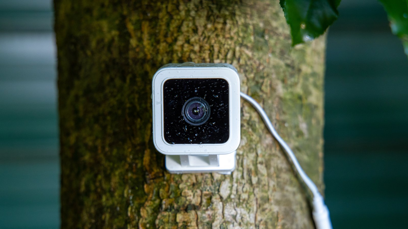 Wyze breach let 13,000 users to peek into the homes of other customers