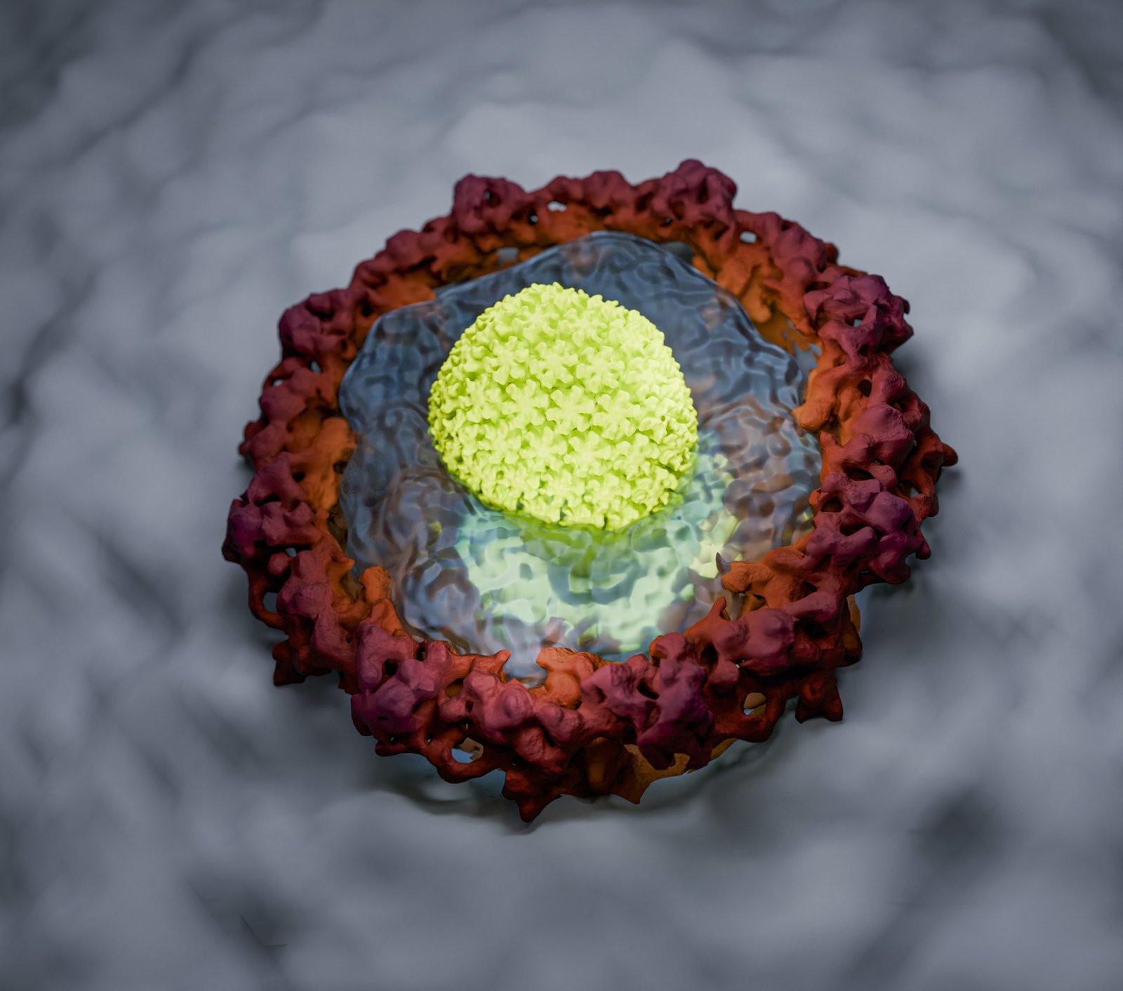 New Research Reveals How HIV Outsmarts Cellular Security