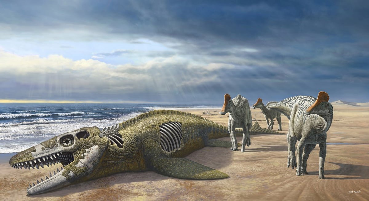 “Once-in-a-Million-Years” – Scientists Discover Strange Fossils of Duckbill Dinosaurs in Morocco