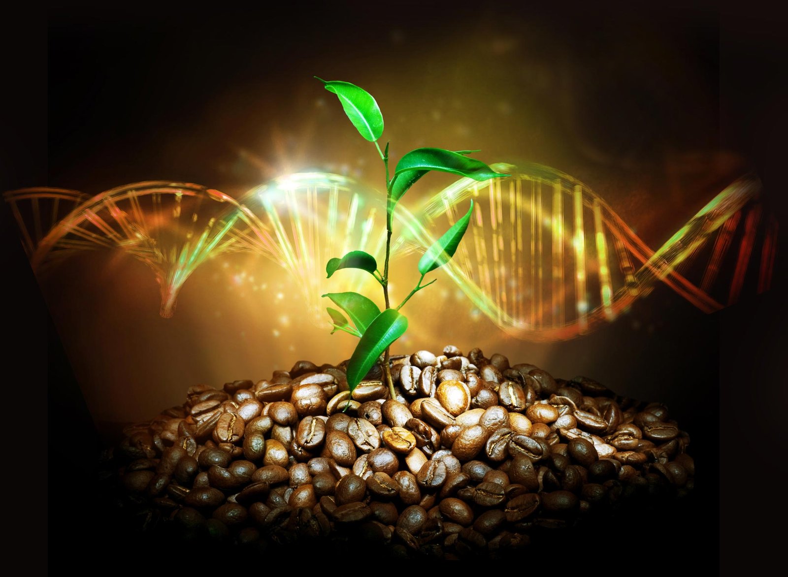 From Ancient Roots to Future Brews: Unveiling Coffee’s Prehistoric Genome