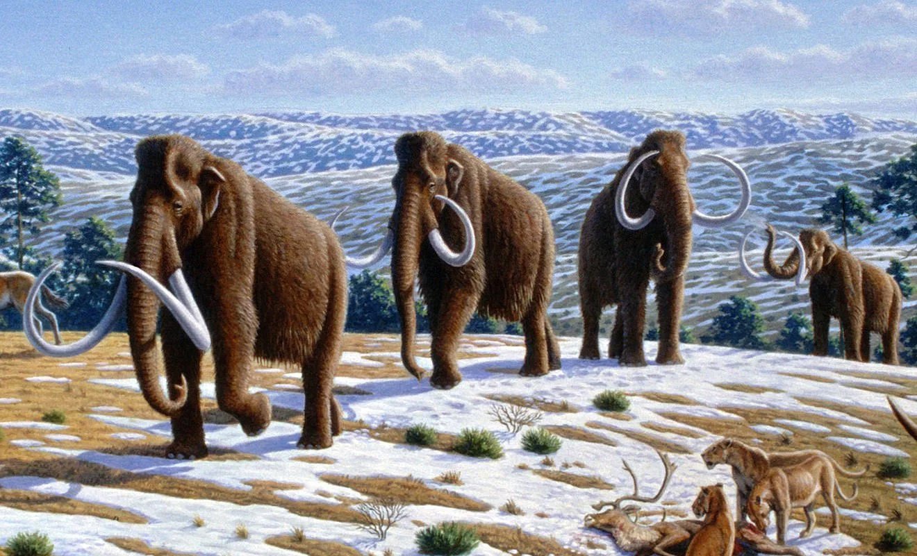 Ice Age Discoveries Cool Down Climate Change Alarms