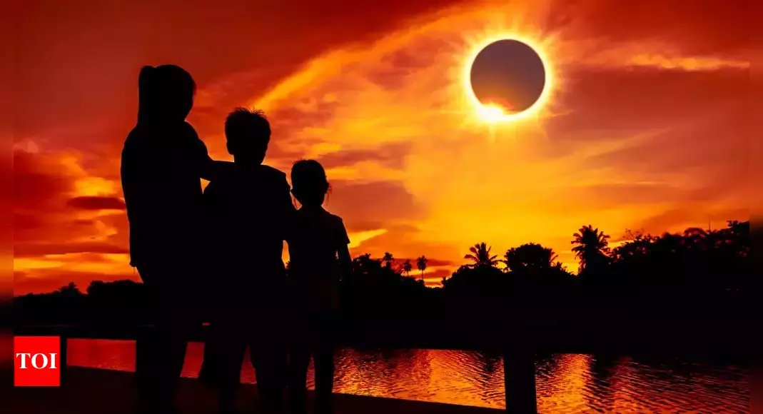 Which creature has seen most total solar eclipses?