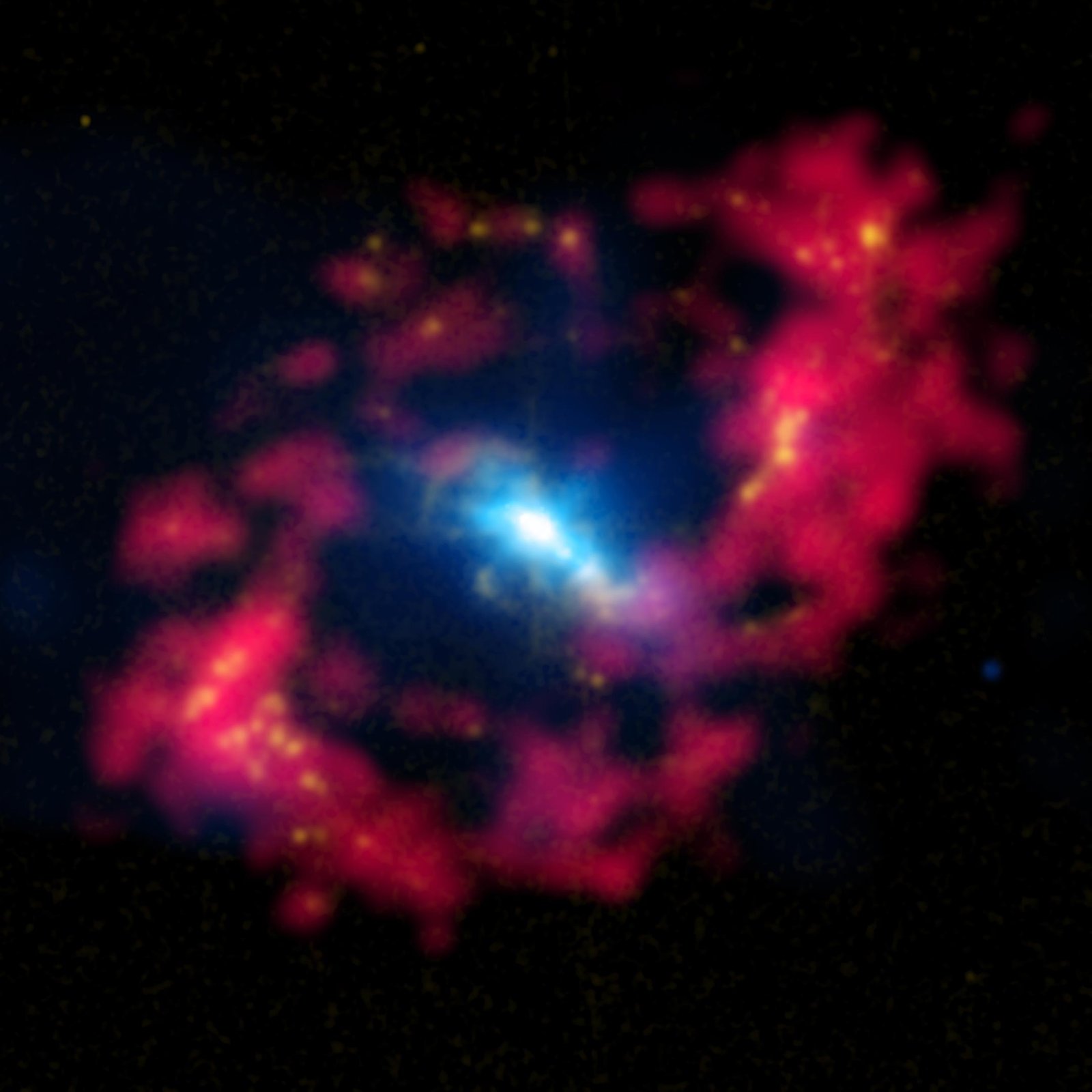 XRISM Spacecraft Detects Iron Signatures in Nearby Active Galaxy
