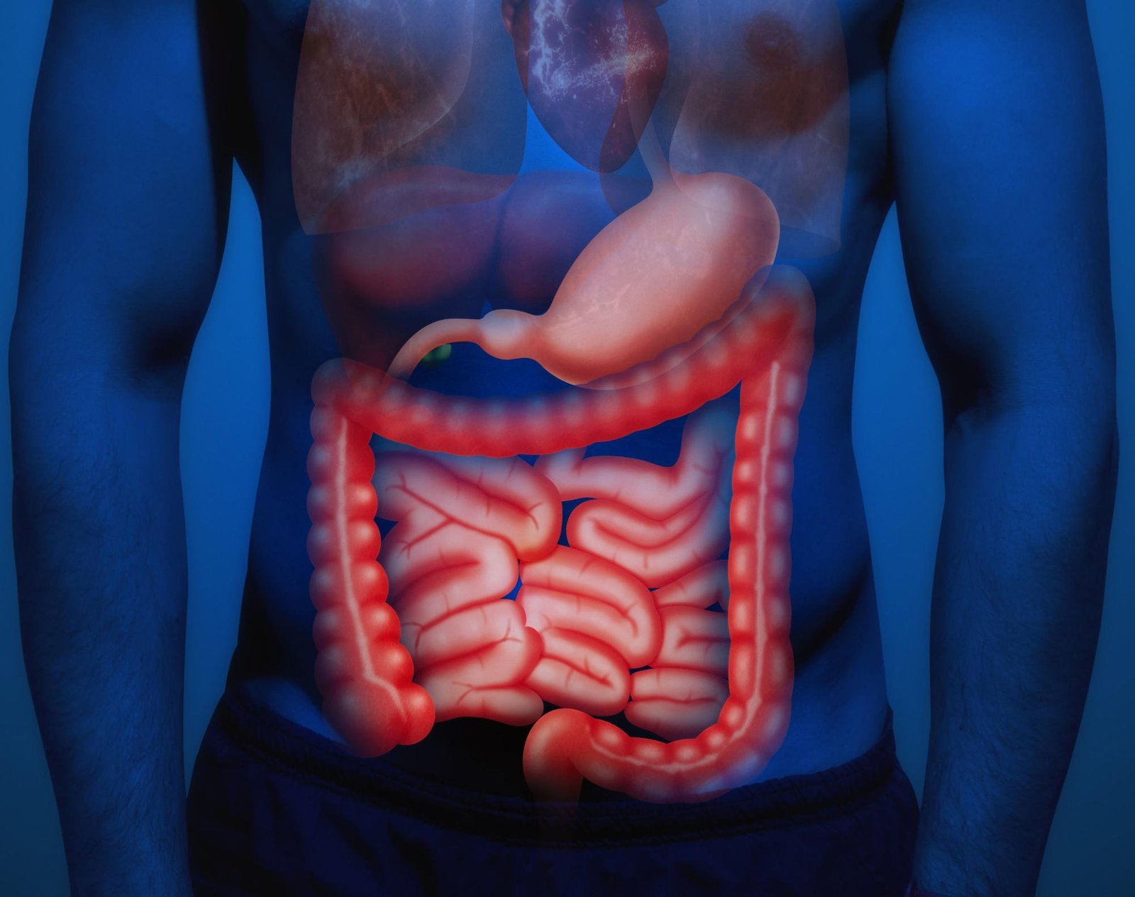 Major Cause of Inflammatory Bowel Disease Discovered
