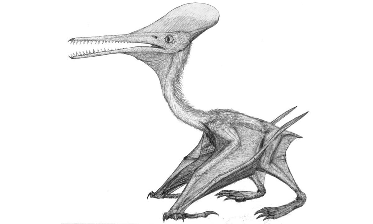 Massive Pterosaur Fossil Unearthed in Oxfordshire, UK