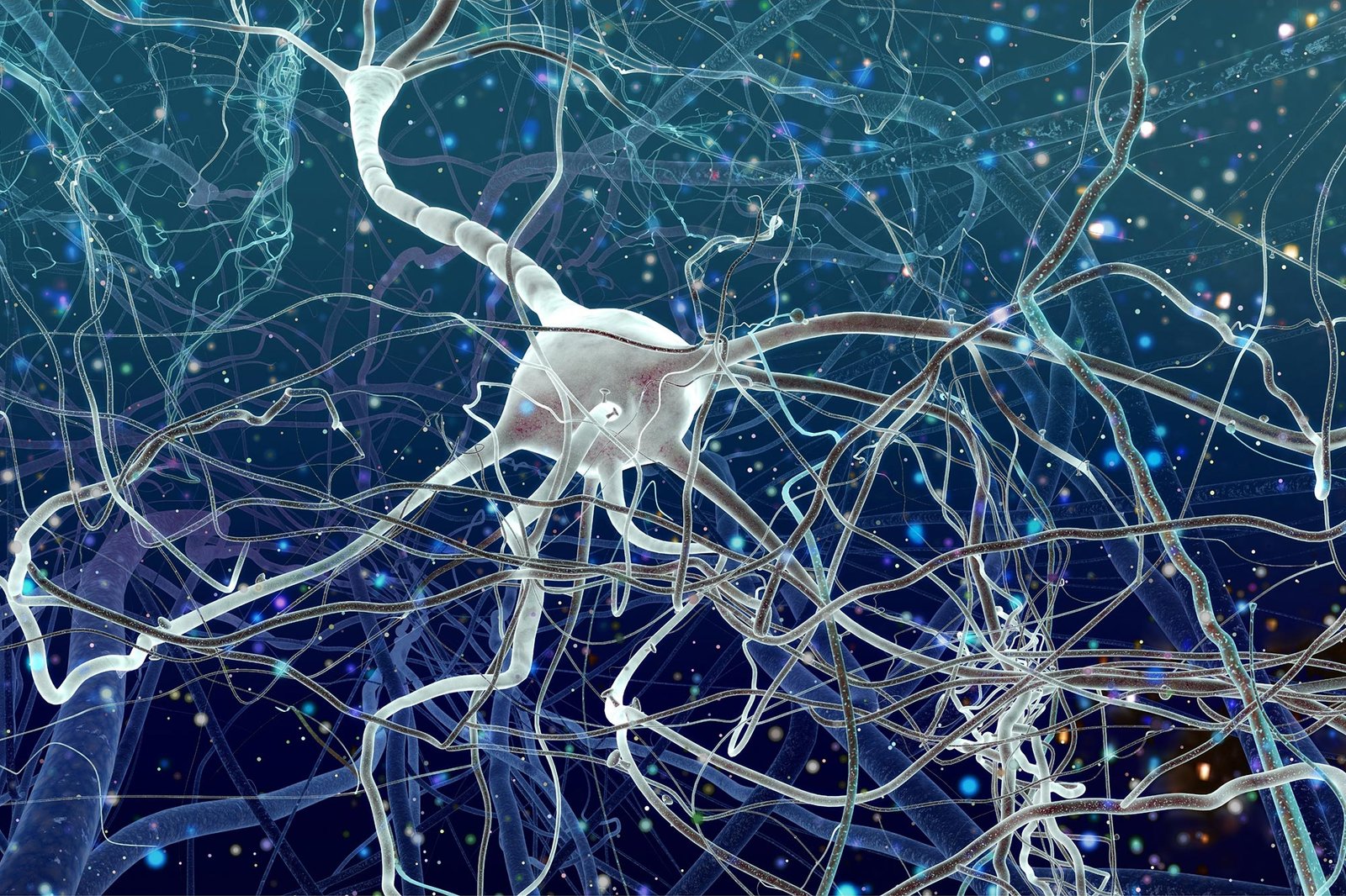 New Study Reveals How the Brain Is Affected by Huntington’s Disease