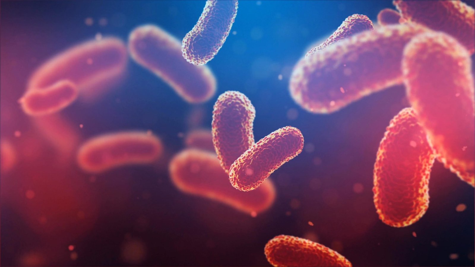Scientists Reveal Secret Behind Humans’ Microbial Ancestors’ Hydrogen Production