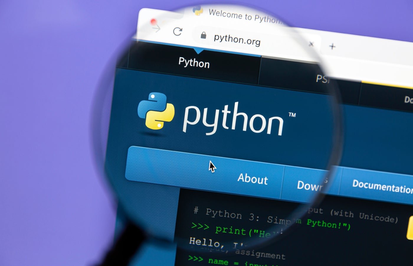 The 10 Best Python Courses in 2024