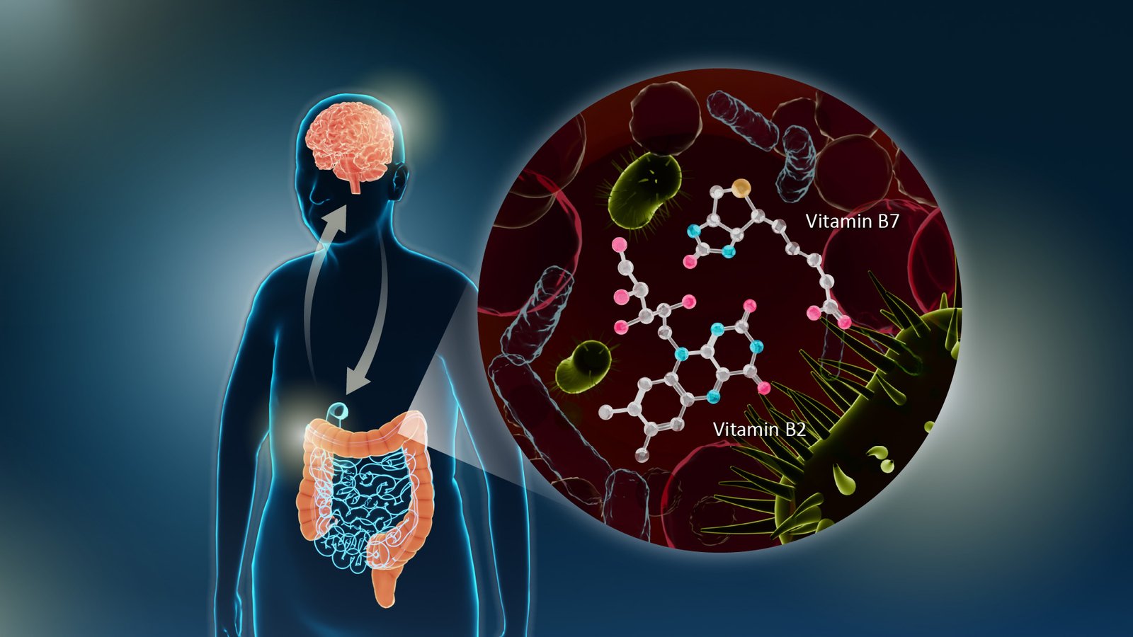 New Study Links Gut Vitamin B Deficiency to Parkinson’s Disease