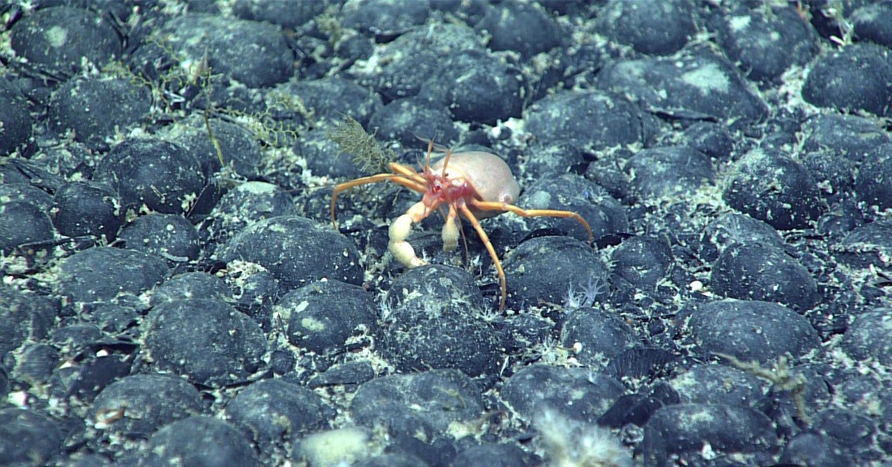 The Mysterious Discovery of ‘Dark Oxygen’ on the Ocean Floor