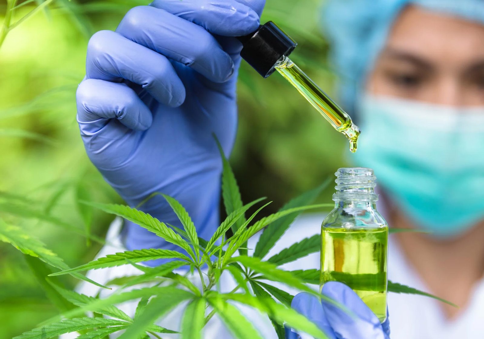 New Study Reveals That CBD Is Ineffective for Pain Relief