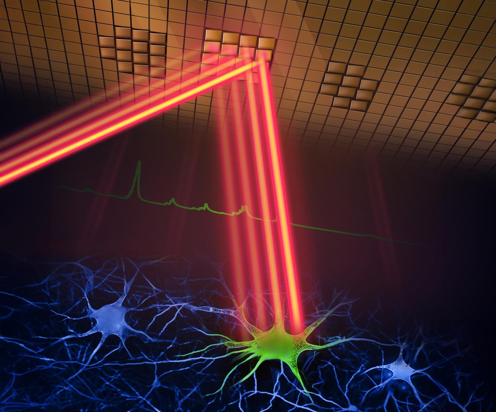 Revolutionary Two-Photon Microscope Captures Brain Activity in Real-Time