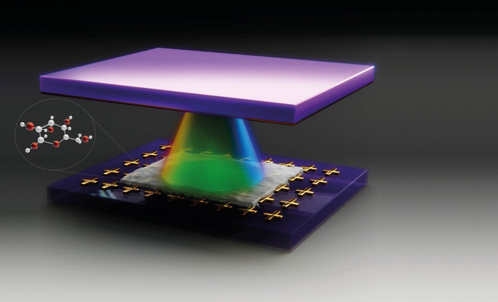 Scientists Fuse Light and Sugar To Create New States of Matter