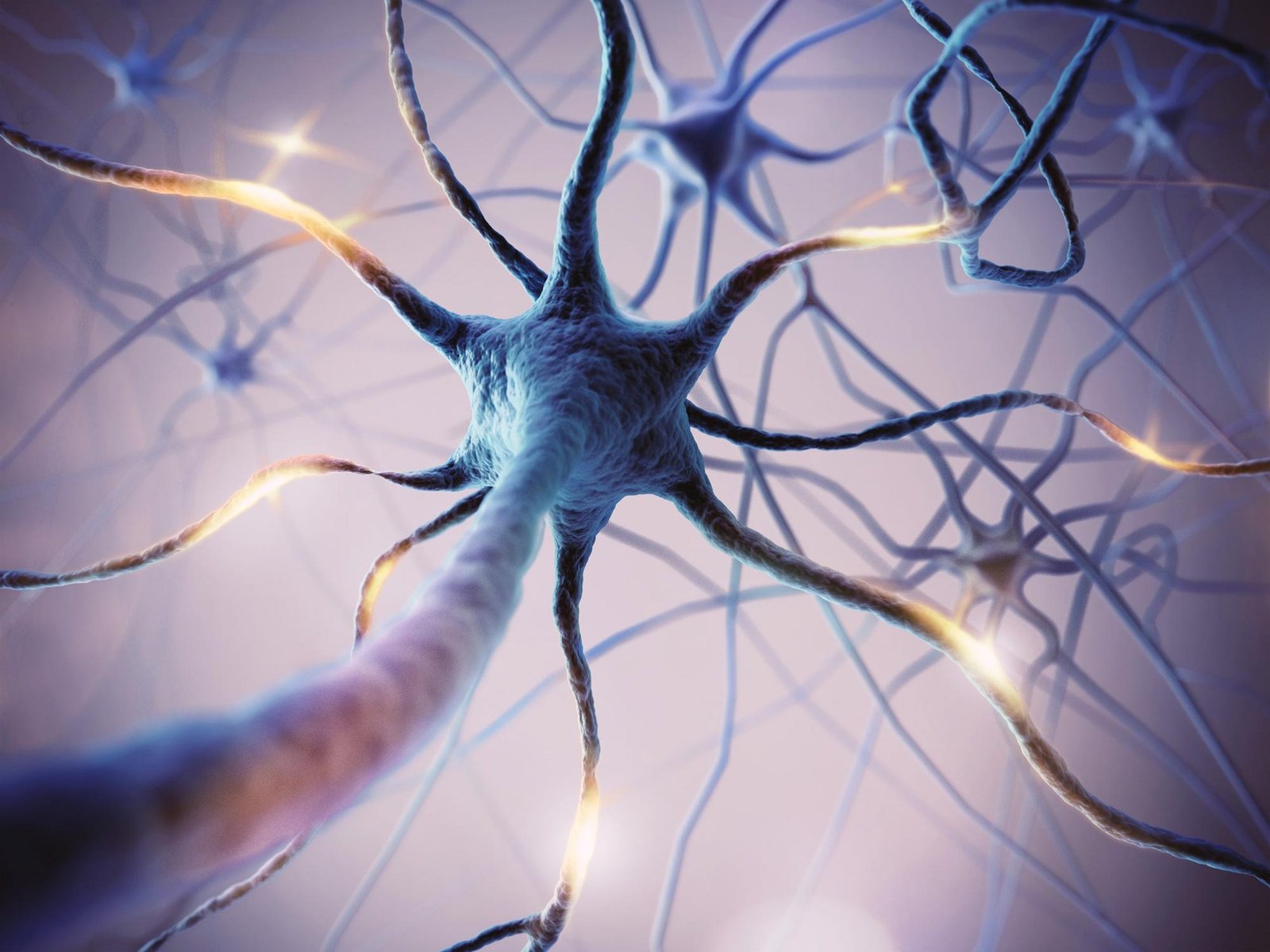 Scientists Identify Neurons Behind “Item Memory”