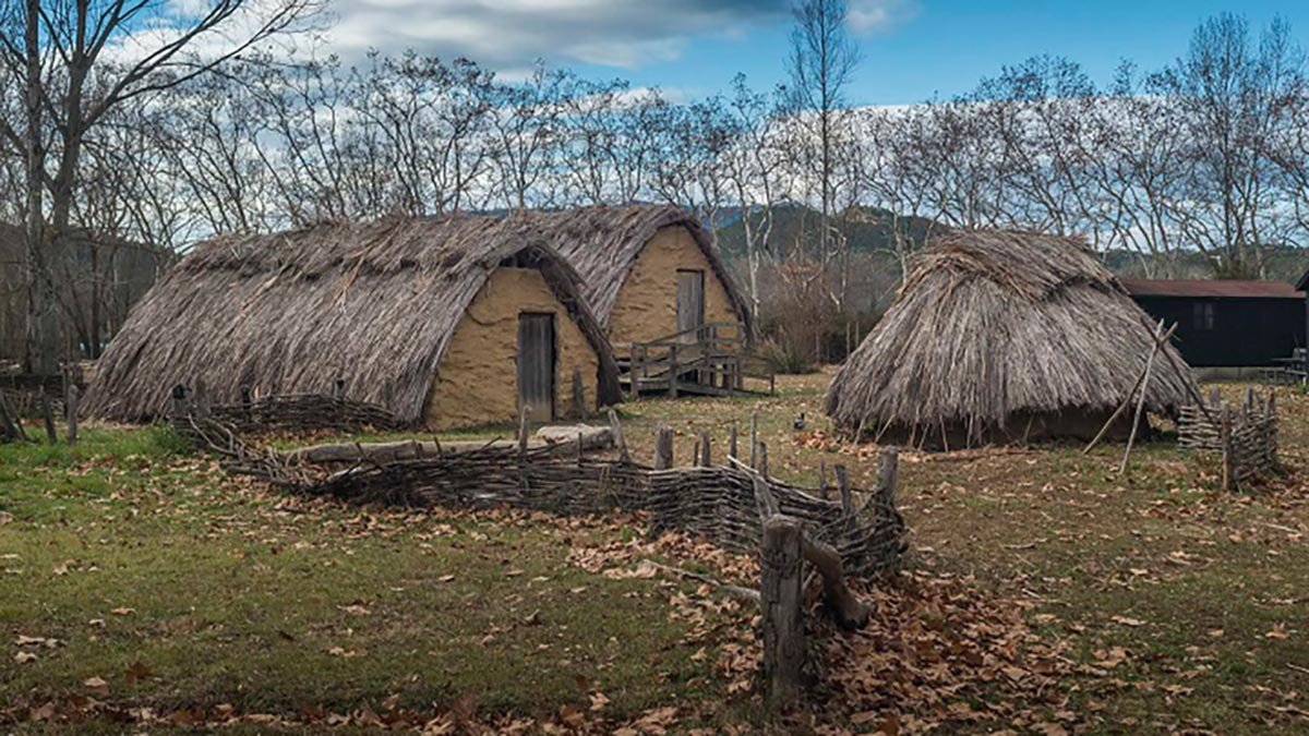 Scientists Unearth 7,000-Year-Old Farming Secrets in Western Europe