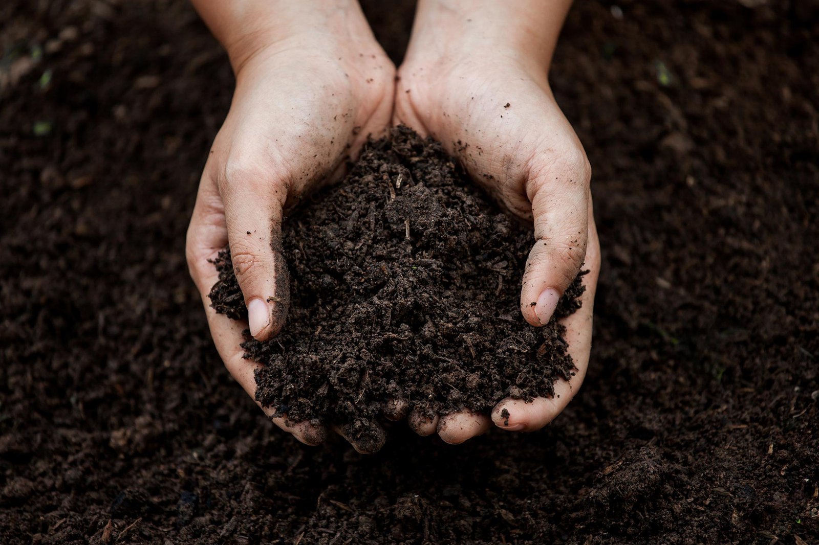 What Our Soil is Telling Us