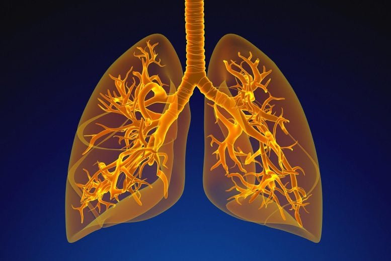 How Childhood BMI Shapes Lifelong Lung Health