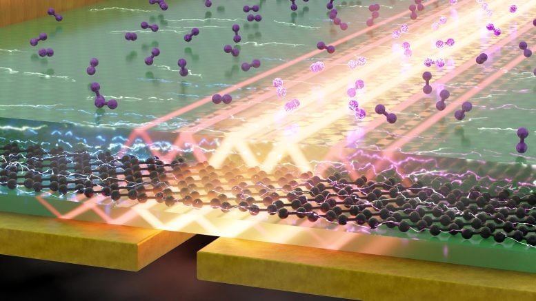 How Exotic Light and 2D Materials Are Redefining Molecular Science