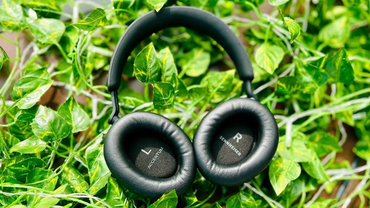 The best cheap headphones of 2024: Expert tested and reviewed